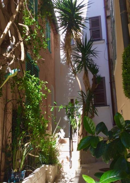 Petite Maison Mitoyenne Au Coeur De Saint Tropez Экстерьер фото